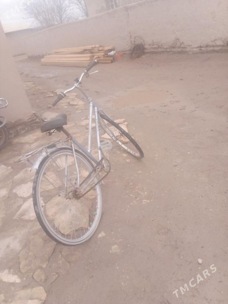 Walesiped - етр. Туркменбаши - img 1