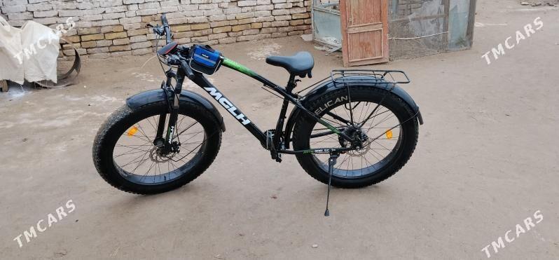 Hamer Welik - Dänew - img 1