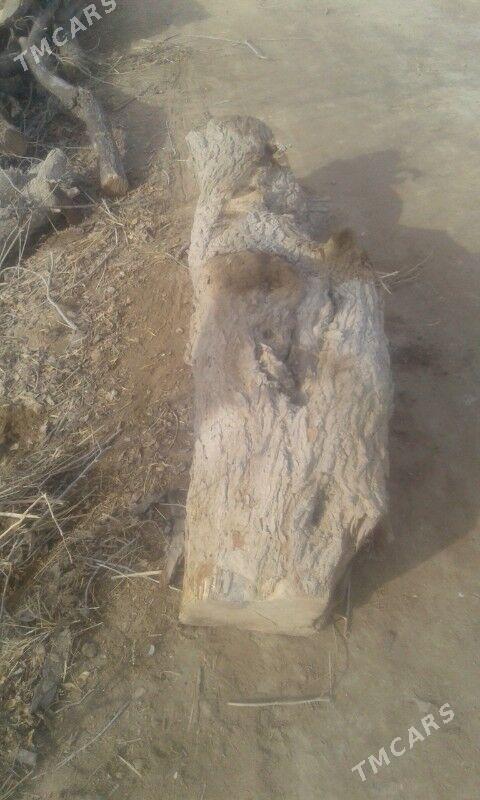 guran odyn - Гурбансолтан Едже - img 1