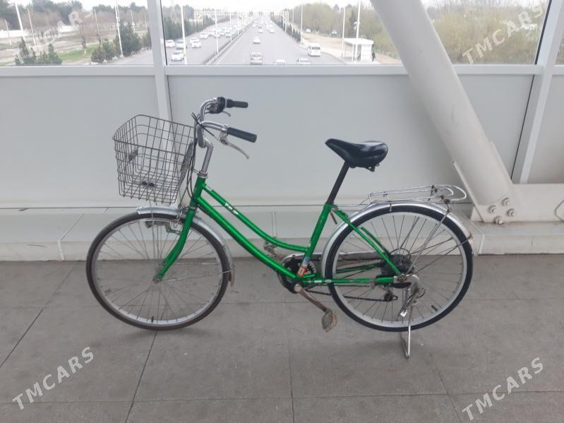 Yapon tigir - Кëши - img 1