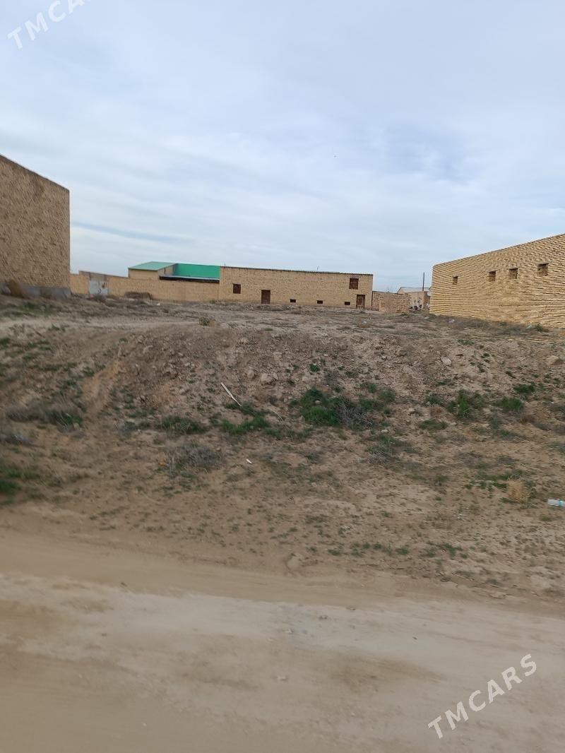 coll mellek - Саят - img 1