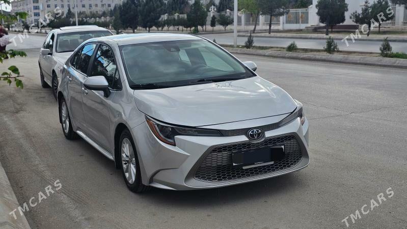 Toyota Corolla 2022 - 259 000 TMT - Балканабат - img 1