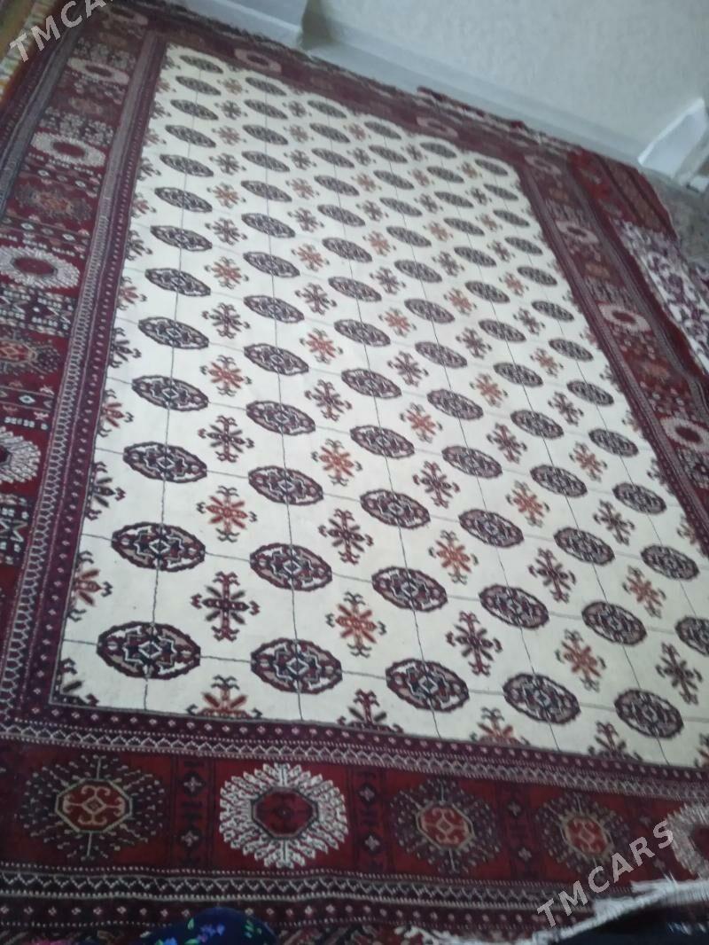 HALYLAR - Daşoguz - img 1