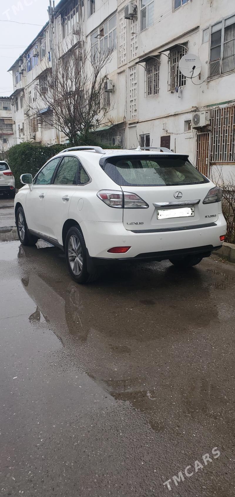 Lexus RX 350 2010 - 368 000 TMT - Ашхабад - img 1