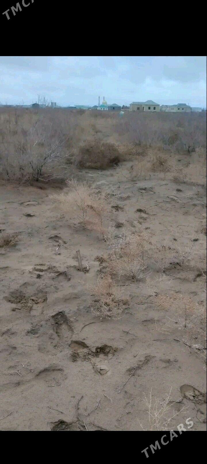 gury mellek - Türkmenabat - img 1