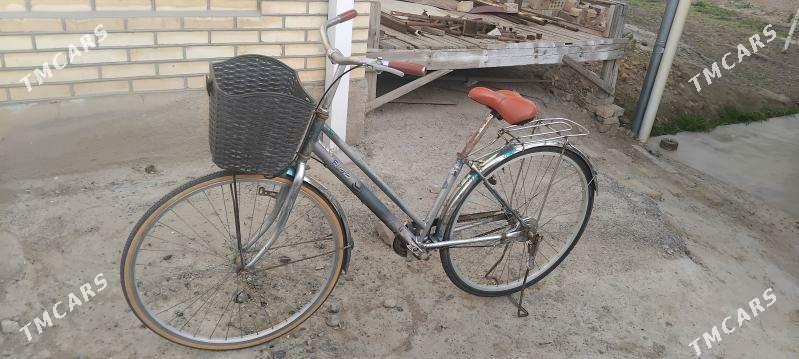 27 welsepit - Sakarçäge - img 1