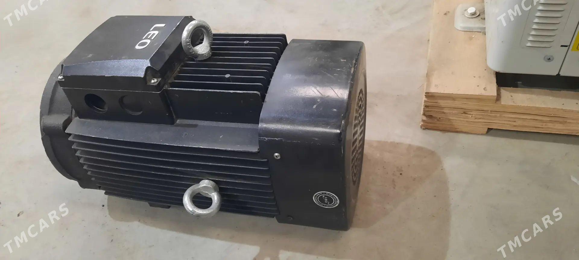 Elektro dwigatel - Mary - img 1