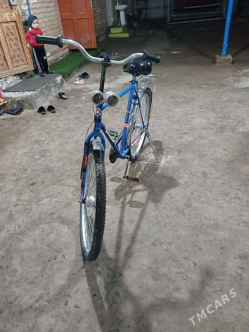 Aist - Дянев - img 1