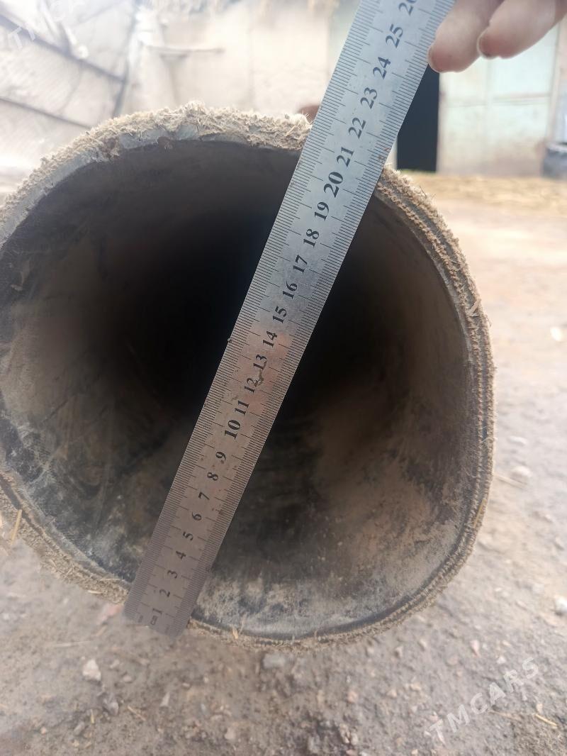 puržinli rezin şlaň 200-lik - Гурбансолтан Едже - img 1