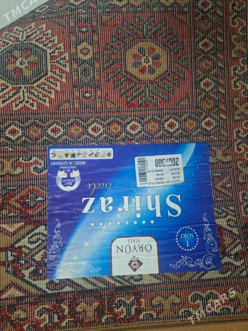 Haly - Туркменбаши - img 1