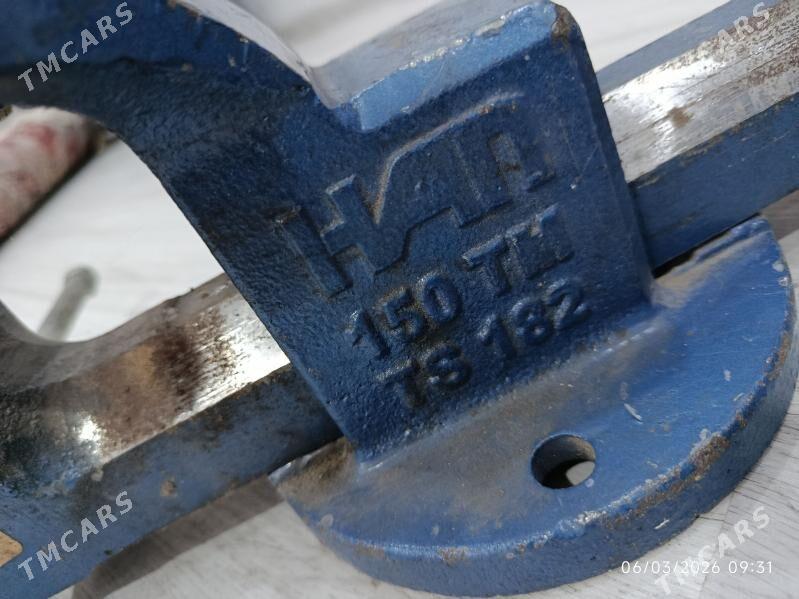 tisgi - Mary - img 1