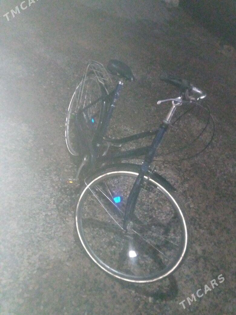 welosepit - Сакарчага - img 1