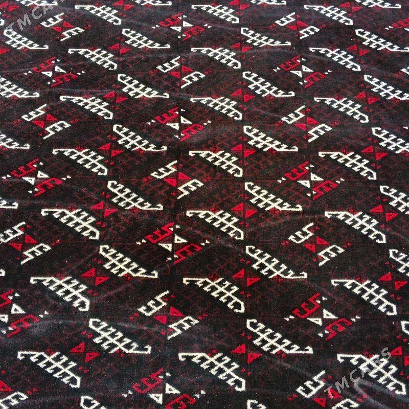 haly - Балканабат - img 1