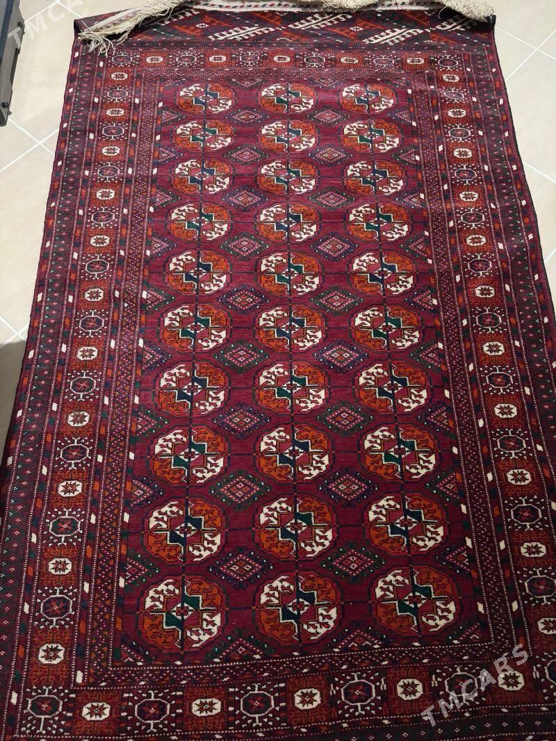 El haly - Кëши - img 1