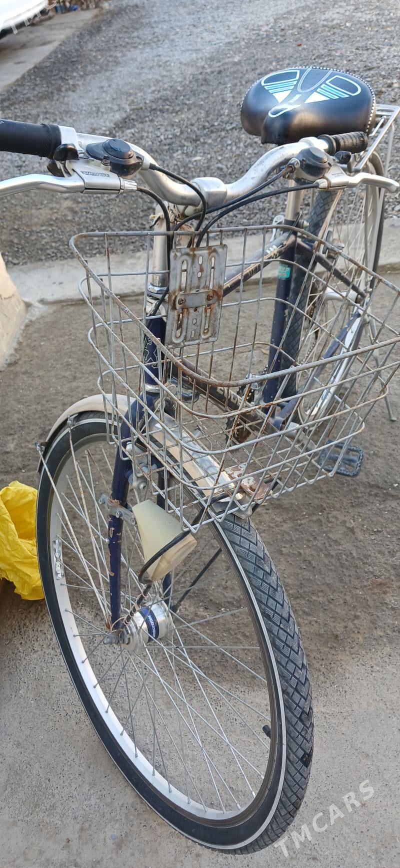 Ýapon tigir 28 lik - Гёкдепе - img 1