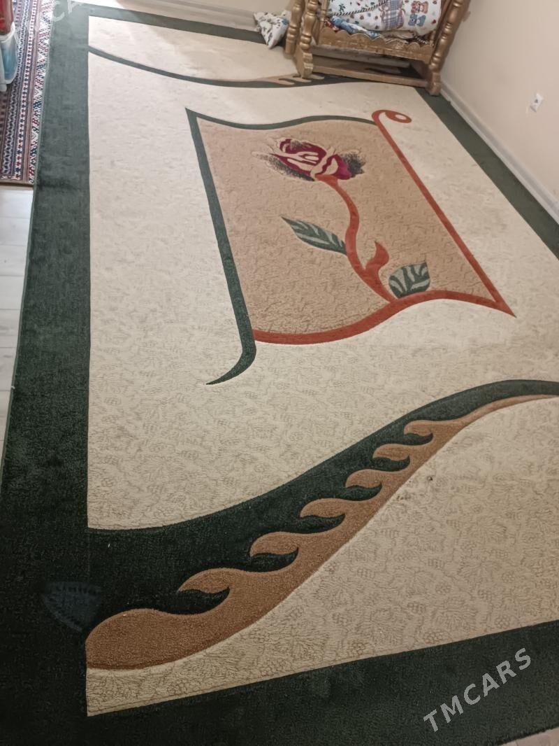 haly - Gurtly - img 1