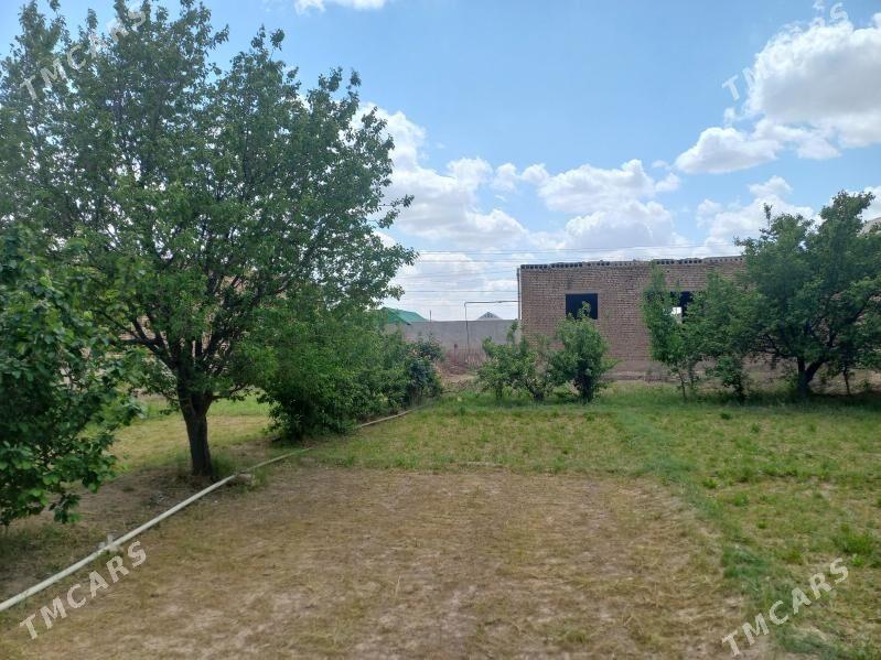 satlyk jaý. - Теджен - img 1