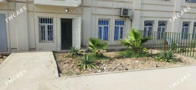 аренда подвал podwal - Туркменабат - img 1