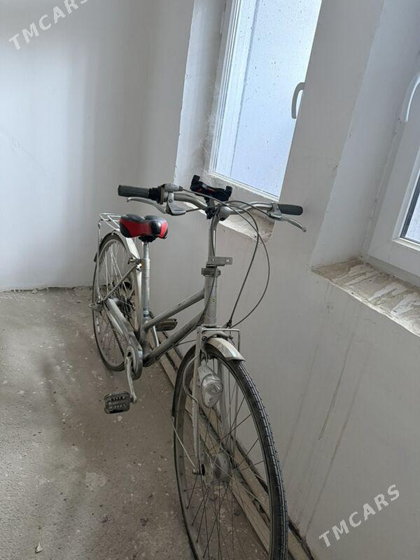 Yapon tigir - Büzmeýin - img 1