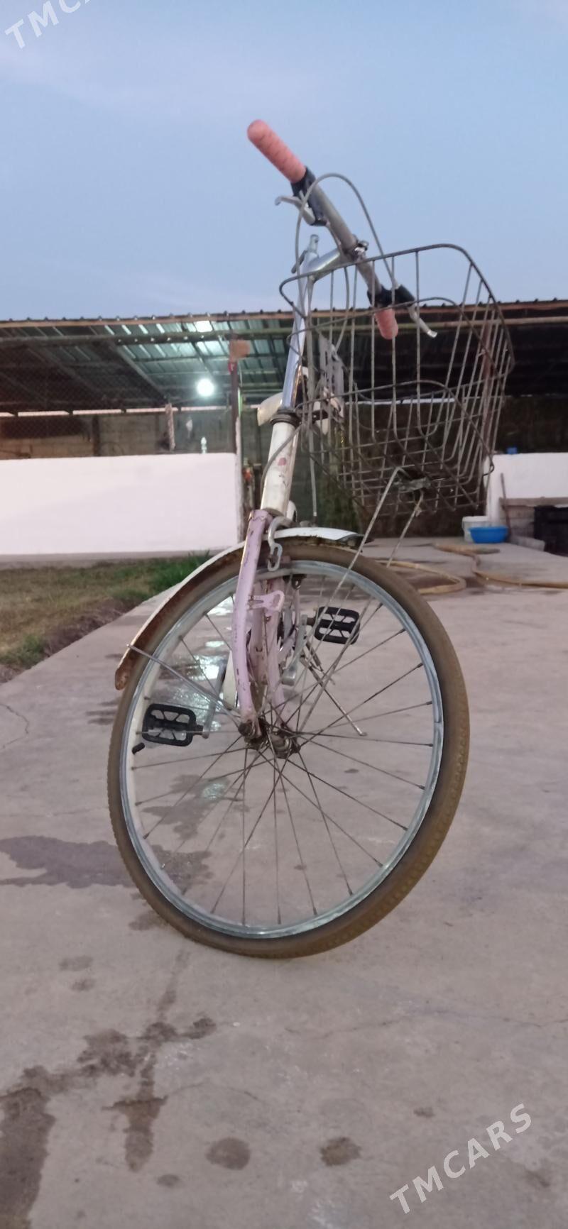 tigir - Gökdepe - img 1