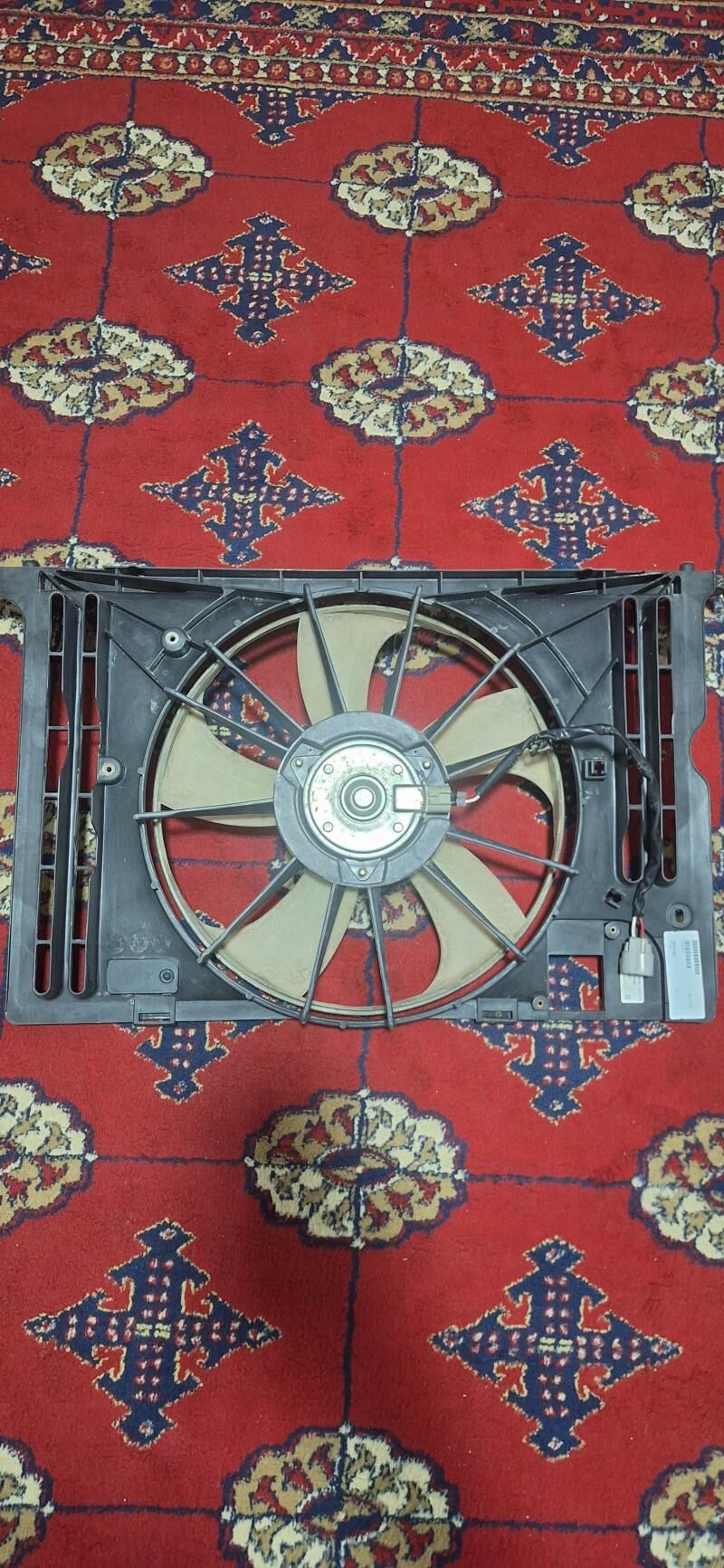 LOPUS 300 TMT - Daşoguz - img 1