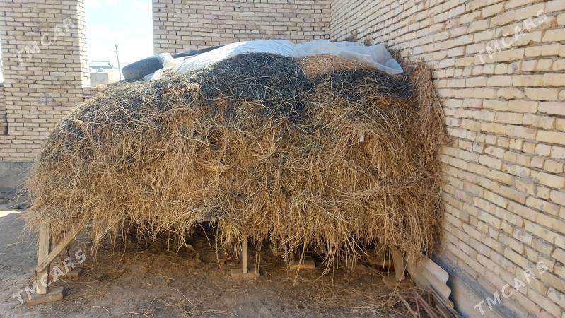 ot yorunja - Türkmenabat - img 1