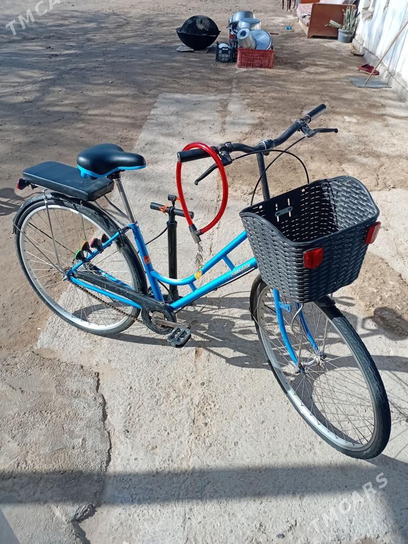 welesepet - Mary - img 1