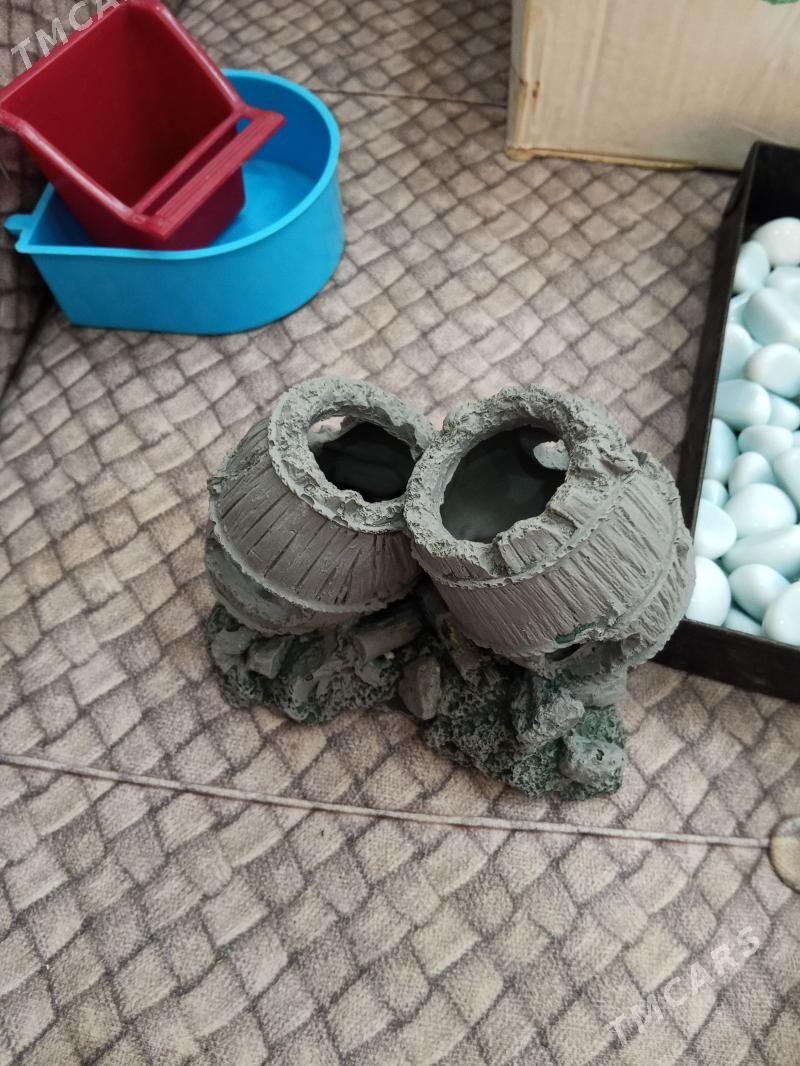 akwarium üçin аквариум - Ашхабад - img 1