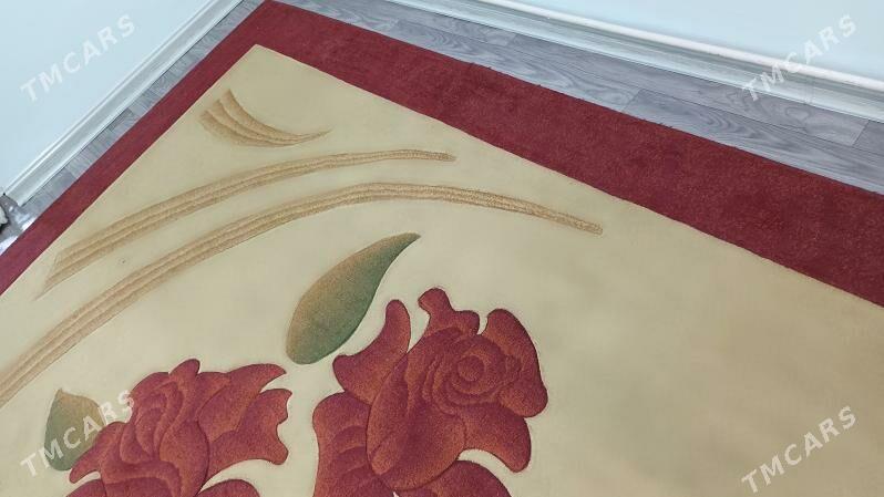 haly - Gyzylarbat - img 1