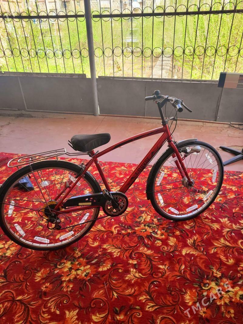 Welsoped - Mary - img 1