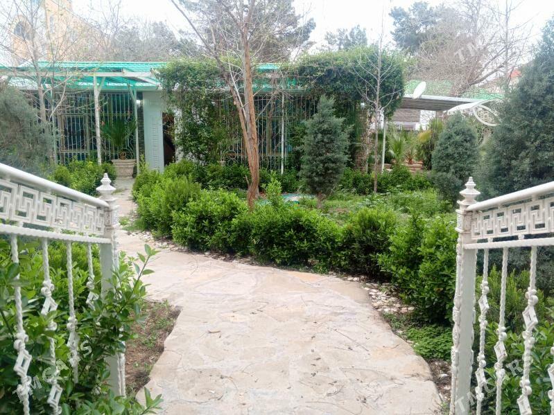 Şewçenko plan full jay - 1 mkr - img 1