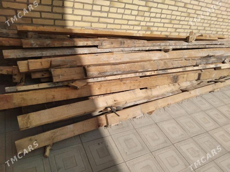 Polyk agaç - Kerki - img 1