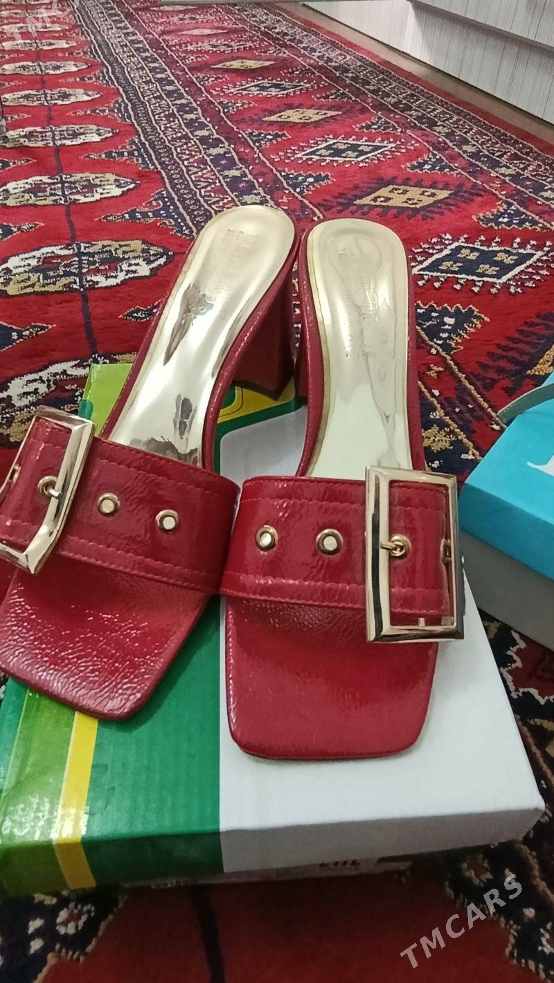 basonoska - Gyzylarbat - img 1