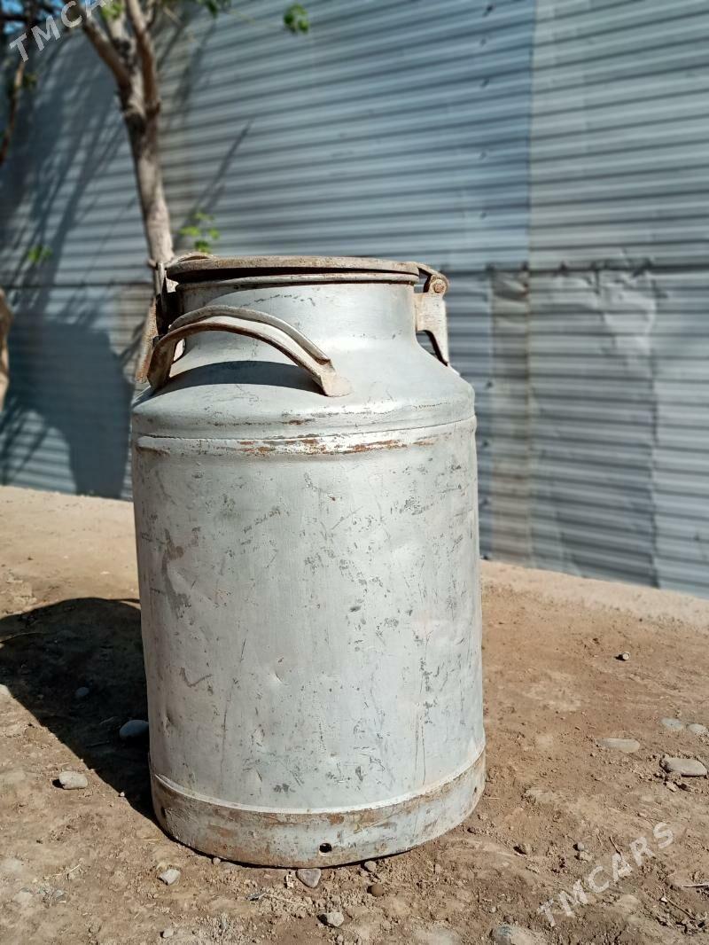 Pilýak - Mary - img 1