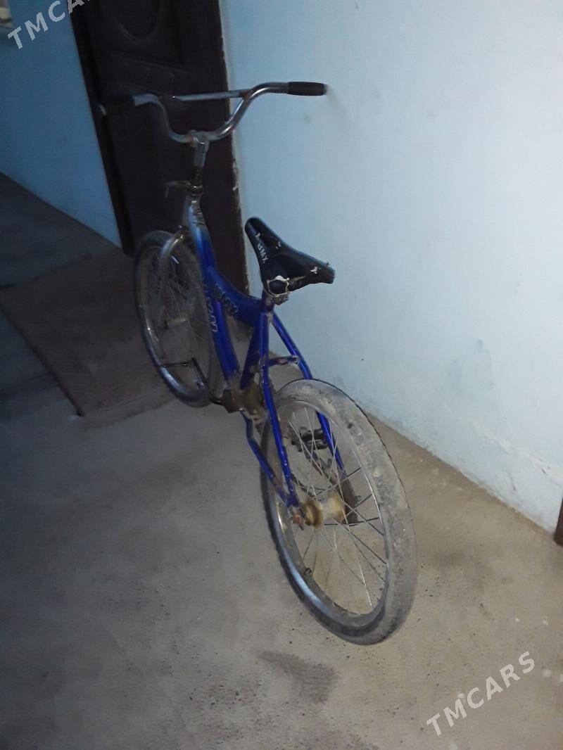 BM x salyh tigir - Ak bugdaý etraby - img 1