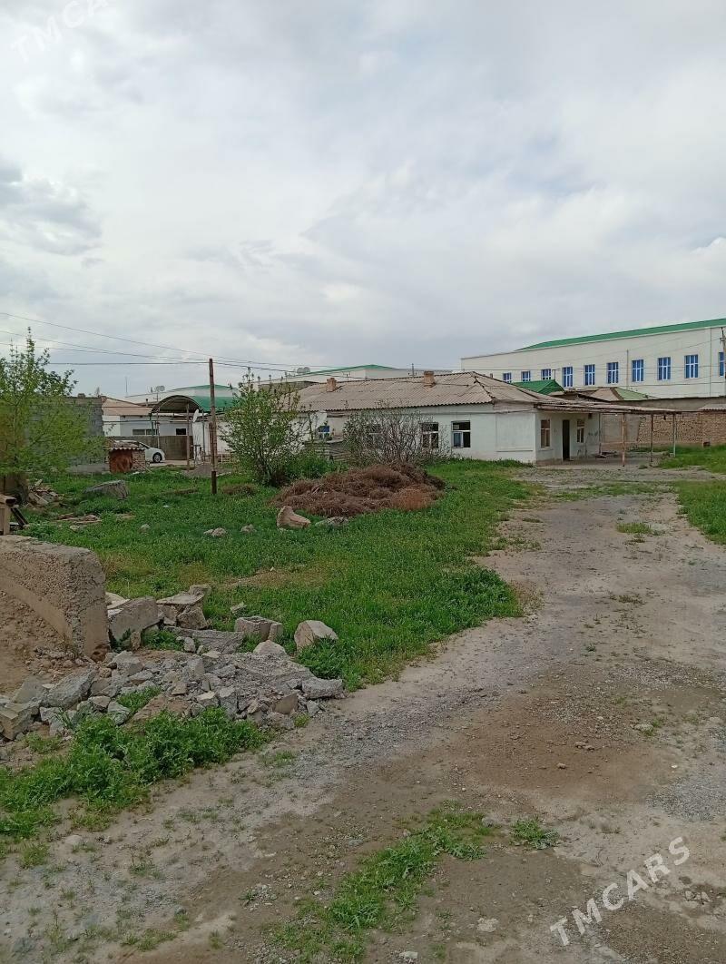 satlyk yer - Änew - img 1