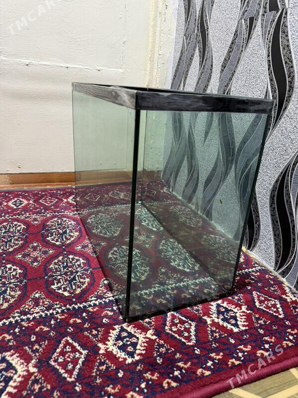 аквариум - Türkmenbaşy - img 1