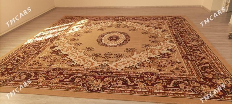 Haly - Дашогуз - img 1