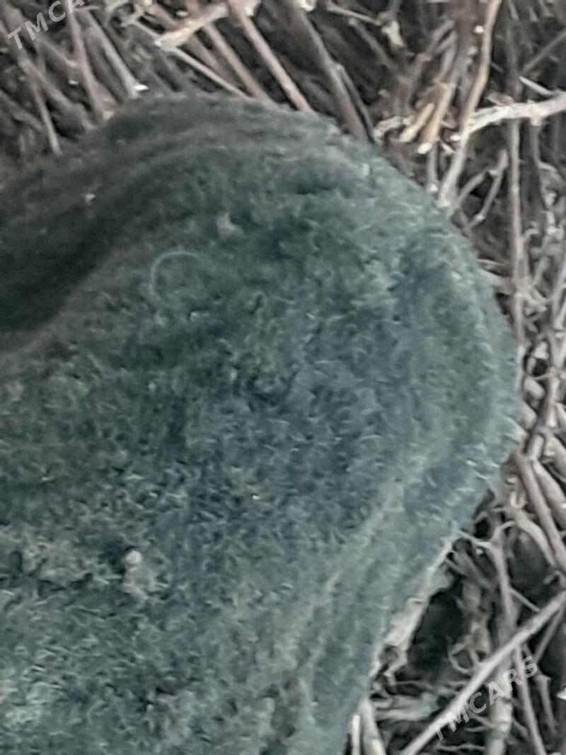 Gockar - Çärjew - img 1