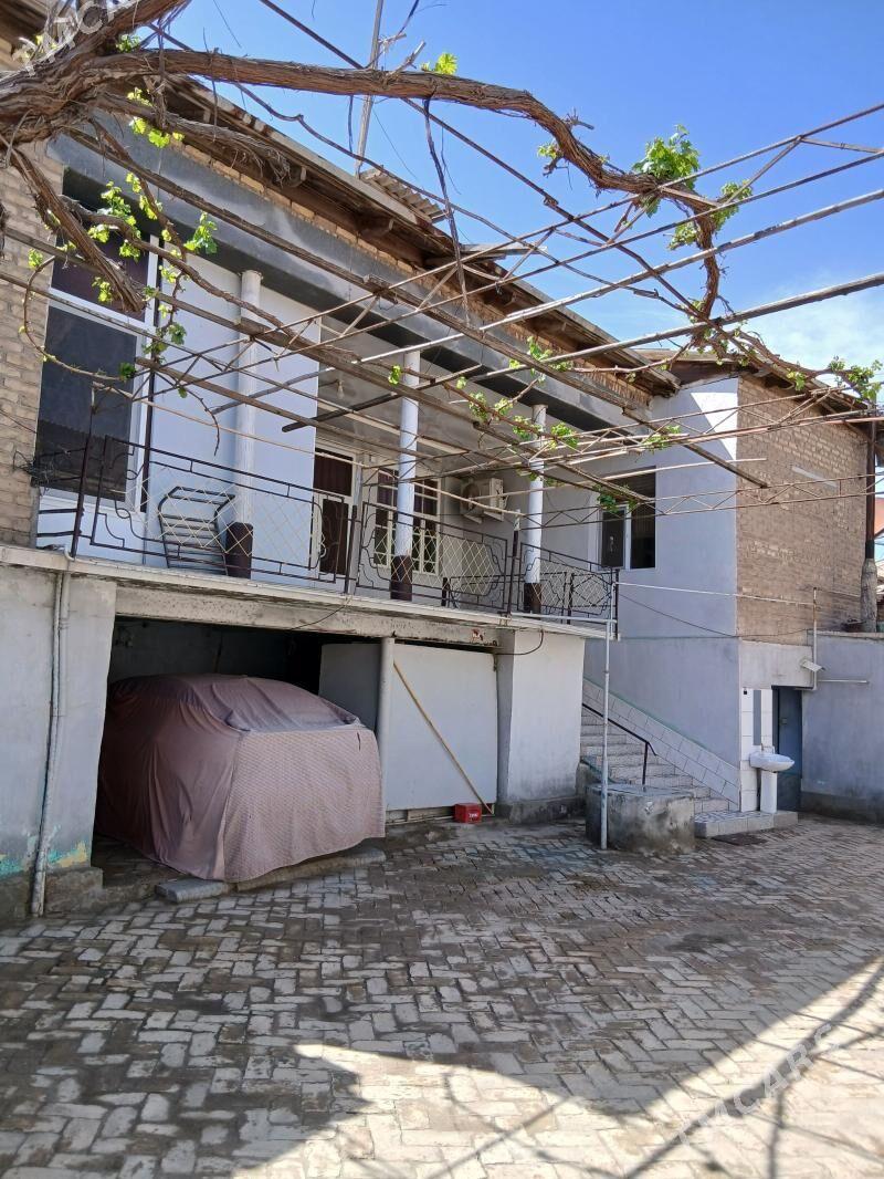 Howly jay - Kerki - img 1