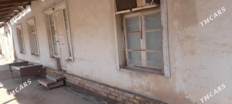 jaý - Мургап - img 1