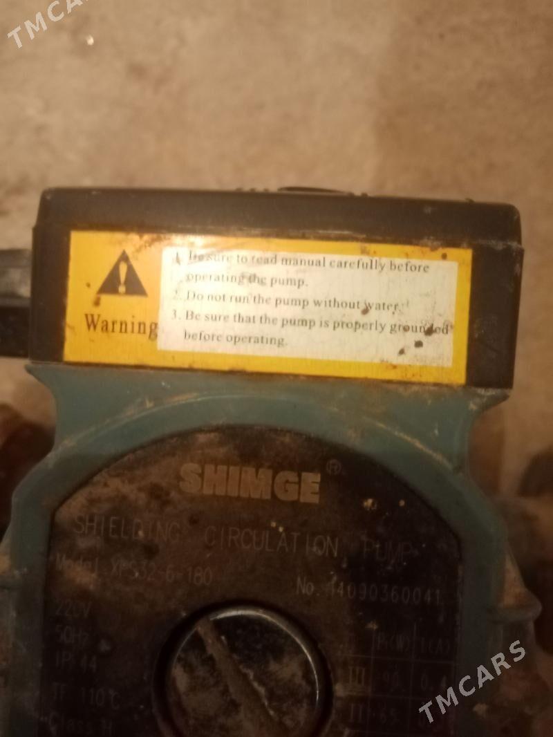 Atapleniya nasos - Bekrewe - img 1