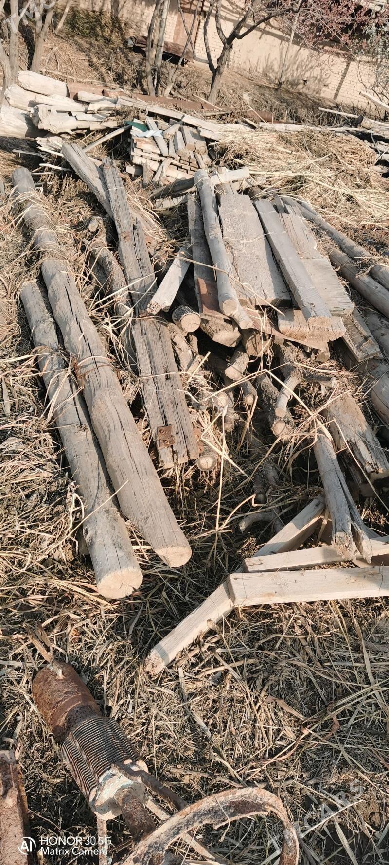 агач - Daşoguz - img 1