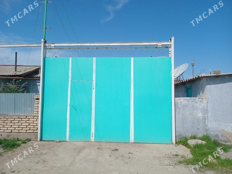 варота - Анев - img 1