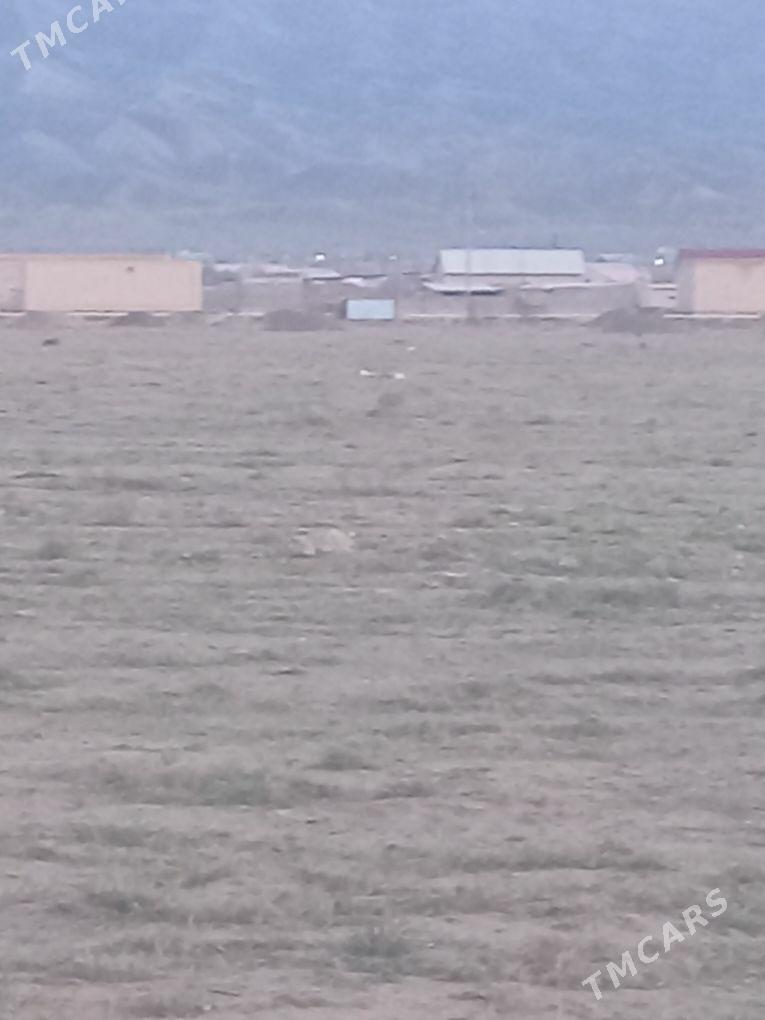 Jay yer - Bereket - img 1