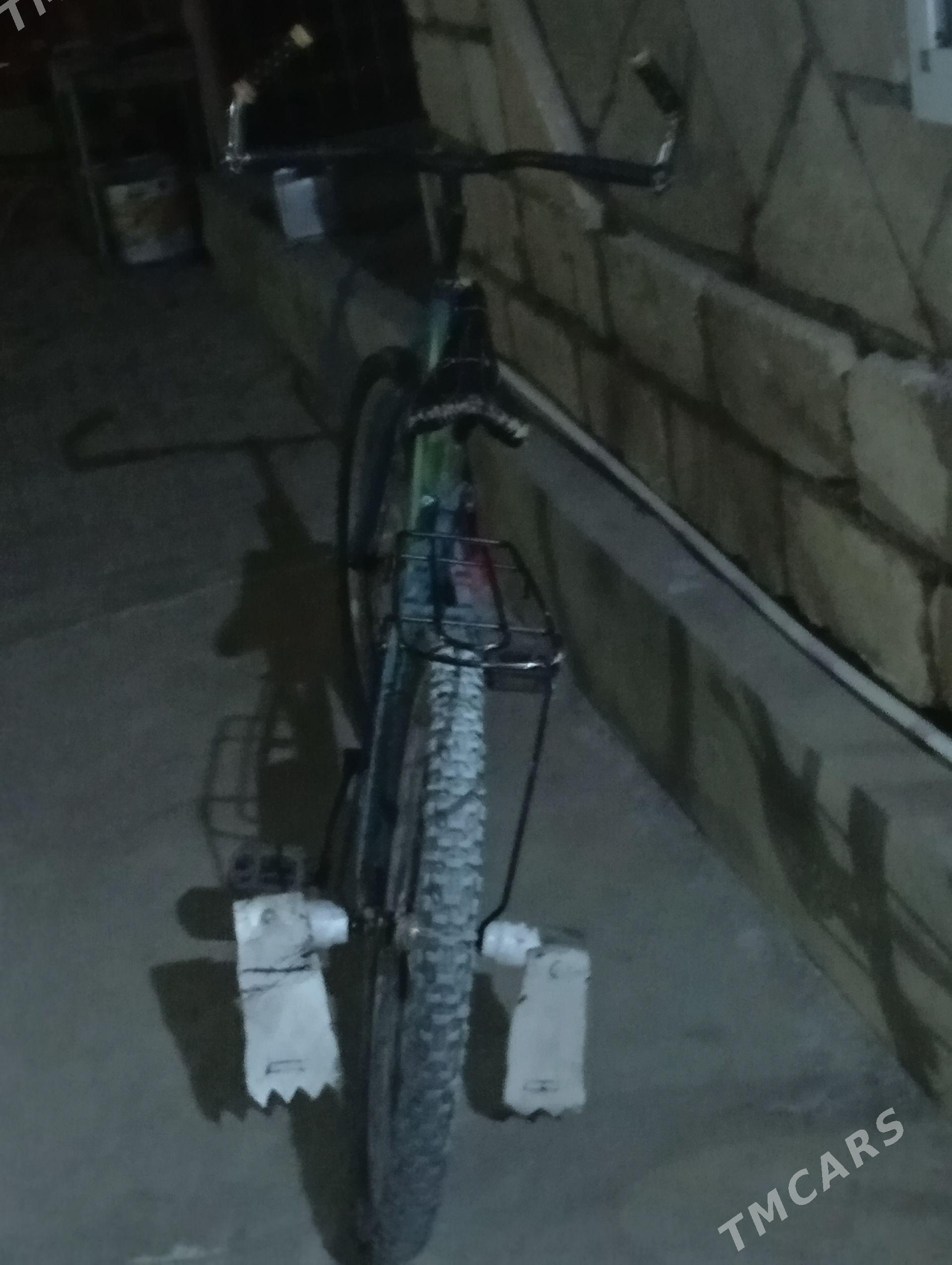 tigirler - Türkmenbaşy - img 1