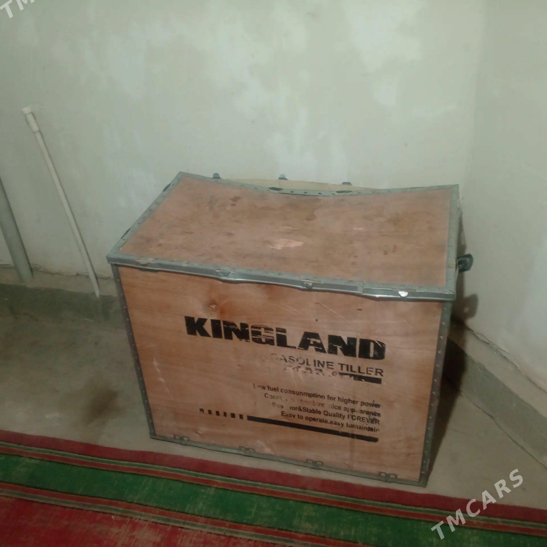 yer suryan - Гурбансолтан Едже - img 1