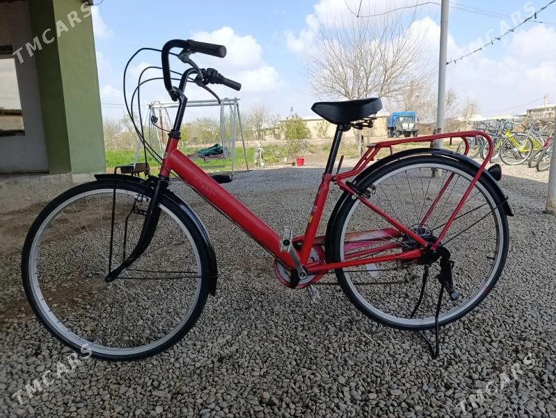 27 tigir welik - Sakarçäge - img 1