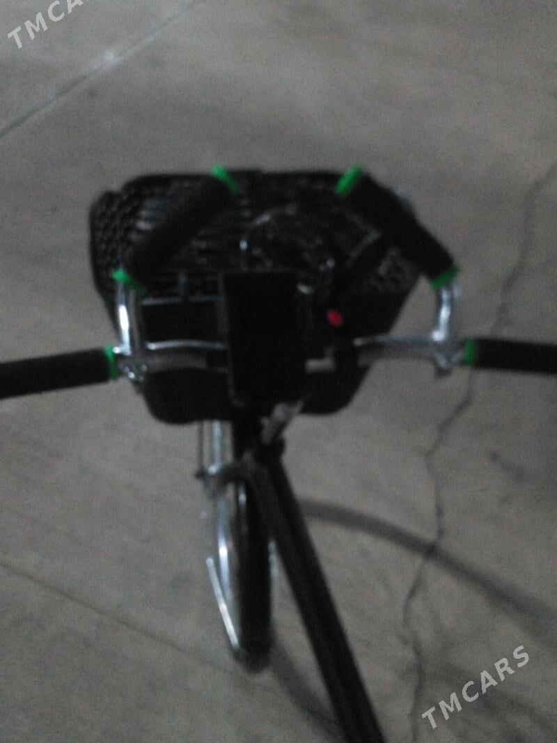 Tigir. - Аркадаг - img 1