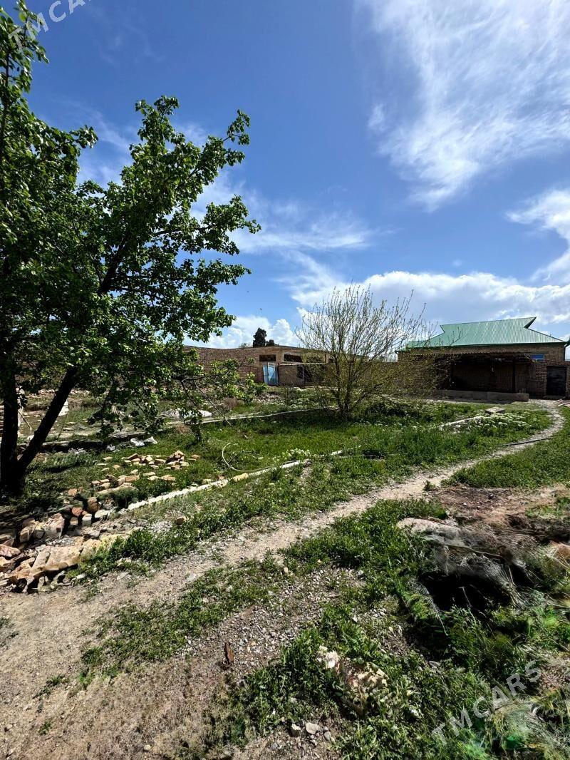 mellek yer - Kaka - img 1